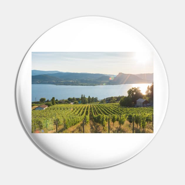 Okanagan Valley Vineyard View Pin by Amy-K-Mitchell