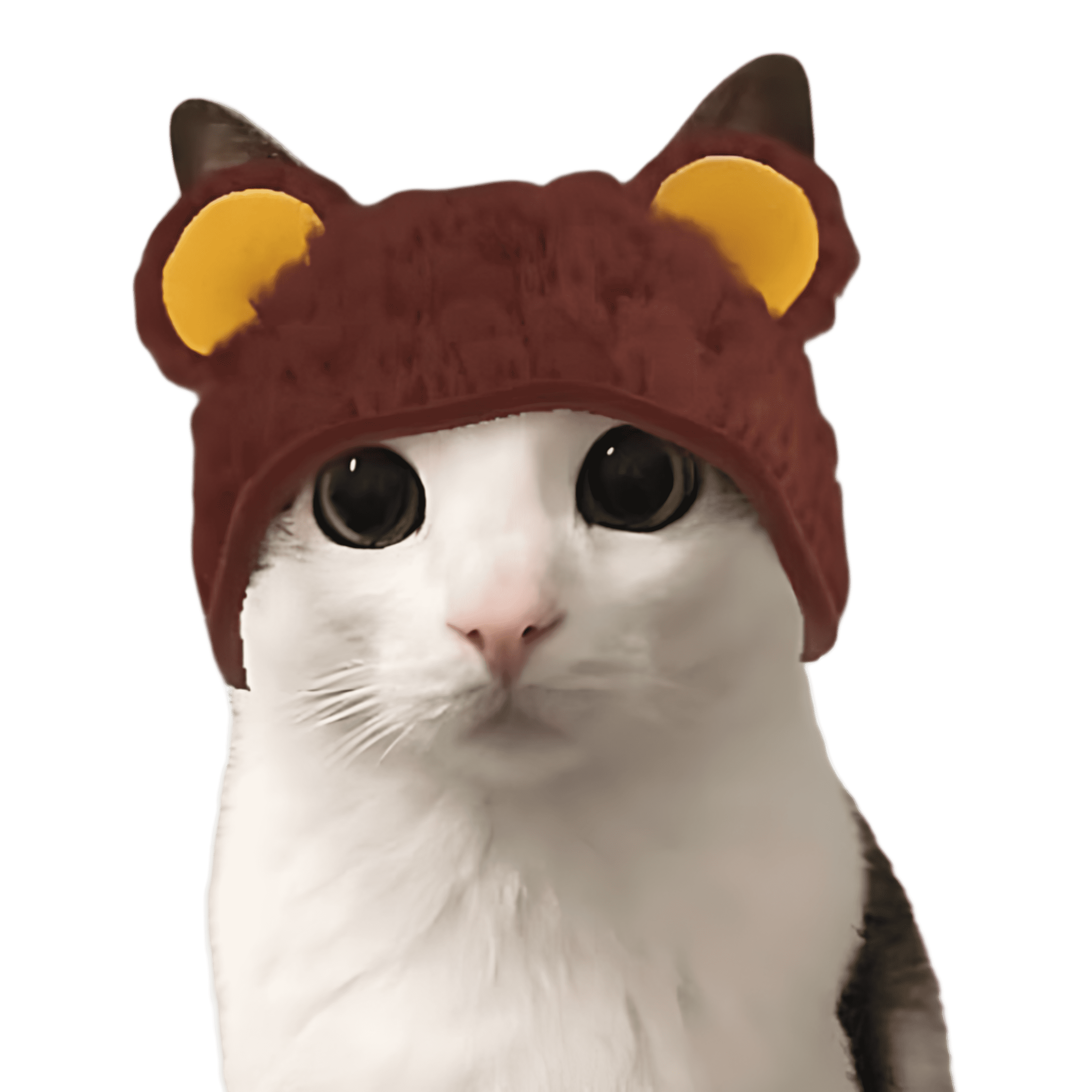 Crunchycat's Store profile image