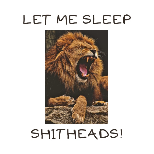 Let me sleep shitheads by IOANNISSKEVAS