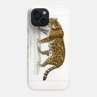 Jaguar (1892) Phone Case