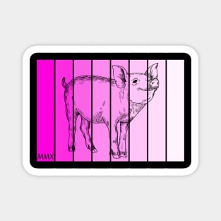 Pretty Piglet in Pink Magnet