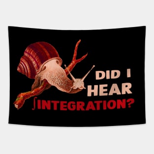 Math funny design Tapestry