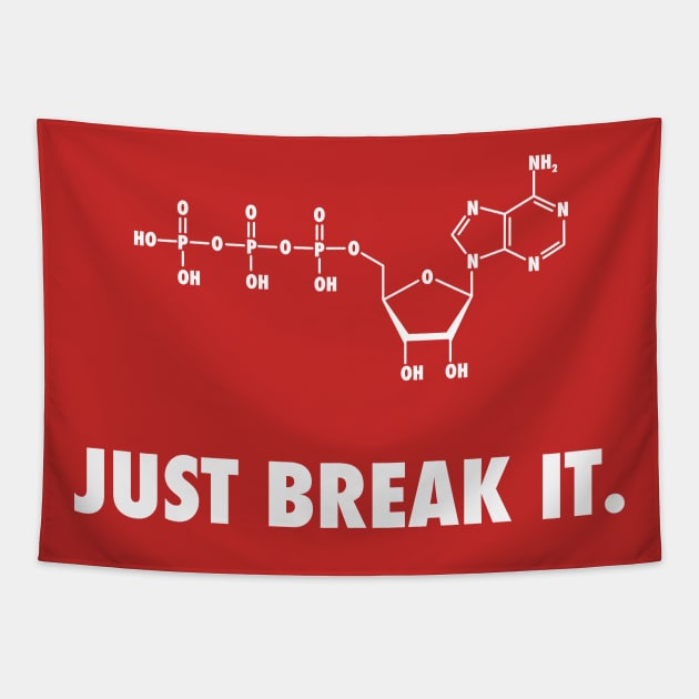 Biology tapestry new arrivals