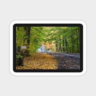 Autumn Country Road Magnet