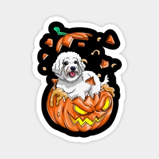 Poodle In The Pumpkin tshirt halloween costume funny gift t-shirt Magnet