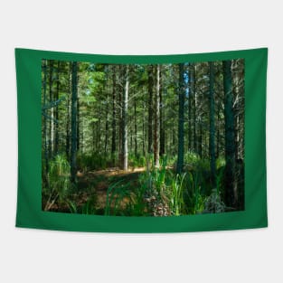 Plantation renewable pine forestry, New Zealand Tapestry