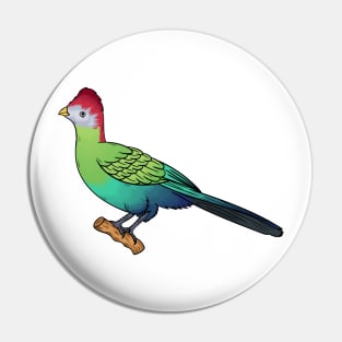 Red-crested turaco bird cartoon illustration Pin