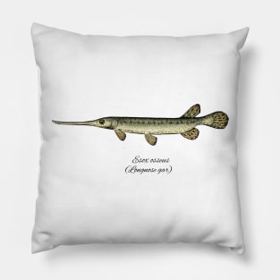 Esox osseus Pillow