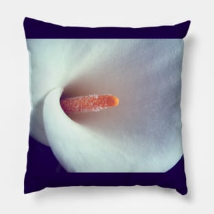 White Calla Lily Close Up Pillow