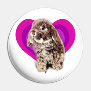 Super cute 3D baby mini lop rabbit on a rainbow heart! Pin