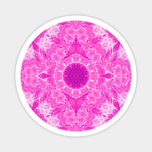 Pink kaleidoscope in the round Magnet