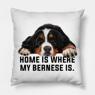 Bernese mountain dog Pillow