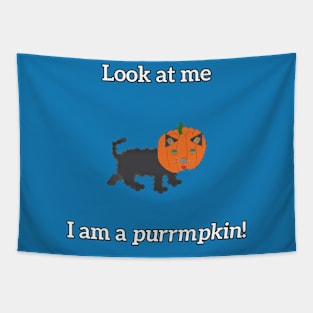 Look at me. I am a purrmpkin! Tapestry