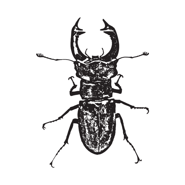 Stag beetle by Guardi