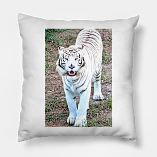 White Tiger Pillow