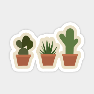 Succulents Magnet