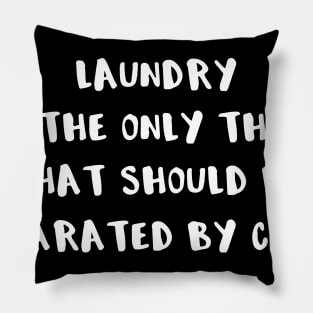 Laundry is the Only Thing That Should Be Separated By Color Pillow