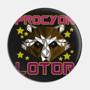 Procyon Lotor - Guardian Raccoon Pin