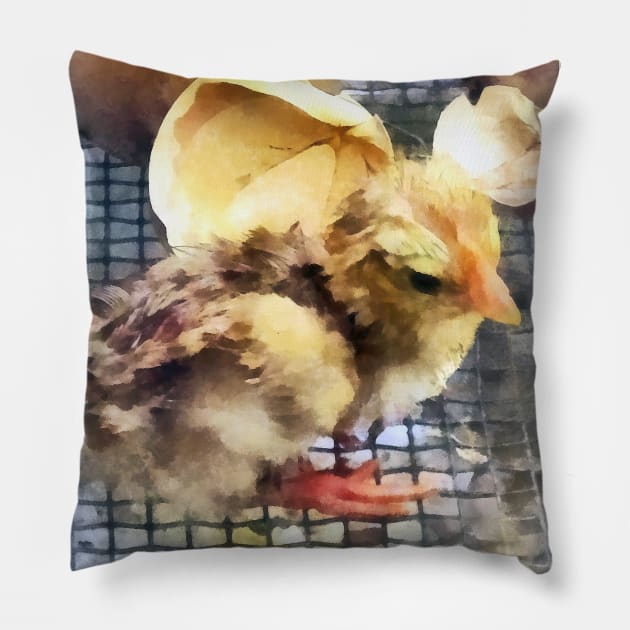 Chickens - Just Hatched Pillow by SusanSavad