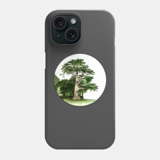 Cypress Tree Watercolor Alamo Square Park San Francisco Phone Case