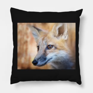 Fox Portrait Pillow