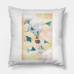 Pursuit of Wonder Pillow