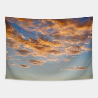 Pink clouds / Swiss Artwork Photography Tapestry