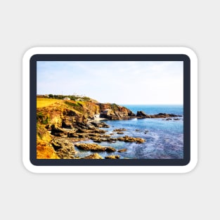 The Lizard Peninsula Cornwall Magnet