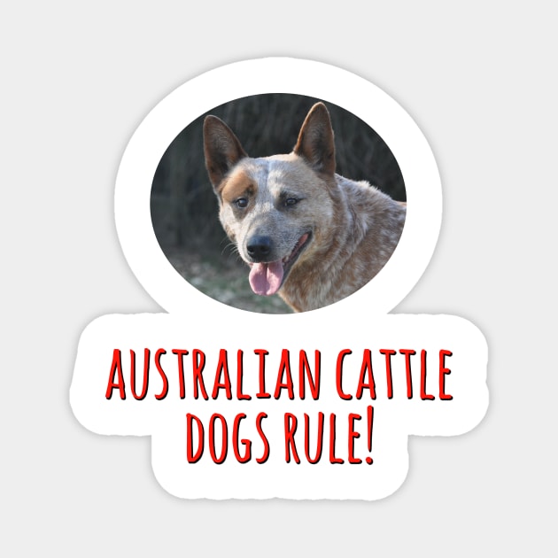 Australian Cattle Dogs Rule! Magnet by Naves