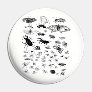 Bug and Insect Colllection Pin