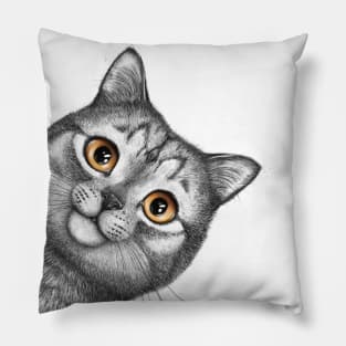 Gray cat Pillow