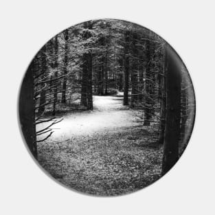 Photo of Mysterious Forest Trail Covered with Snow V1 Pin