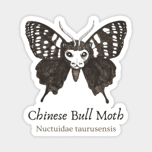 Cryptozoology - Chinese Bull Moth - Retro Fun Magnet