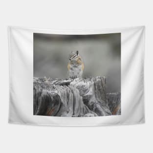 Alpine chipmunk, wildlife, gifts, cute as can be Tapestry