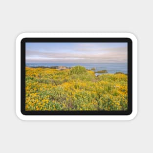 Monterey Wildflowers Magnet