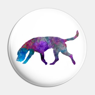 Artois Hound in watercolor Pin