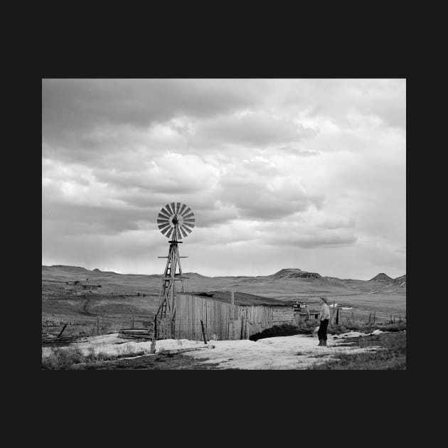 Montana Sheep Ranch, 1942. Vintage Photo by historyphoto