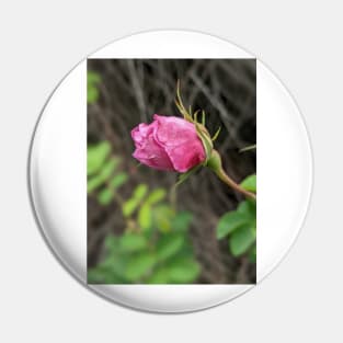 Rosebud Pin