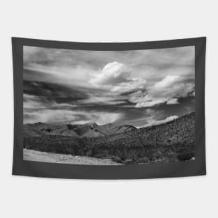 Nevada Desert Tapestry