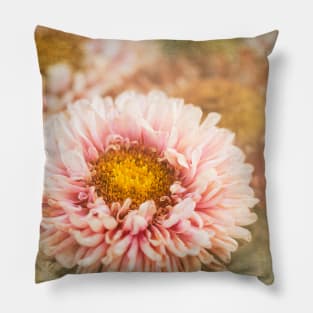 China Aster Pillow