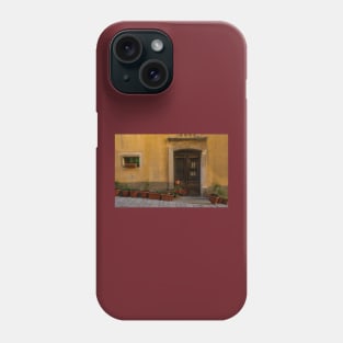 Door and Window in Buzet, Croatia Phone Case