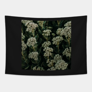 Small flowers in a botanical garden Tapestry