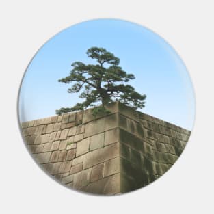 Bonsai on a Stone Wall Pin