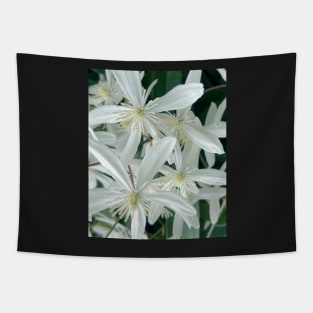 Clamoring Clematis Tapestry