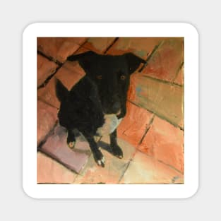 Black Dog On Tiled Floor Magnet