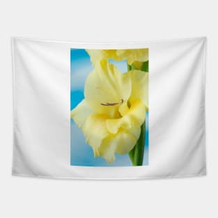 Gladiolus  'Jacksonville Gold' Tapestry