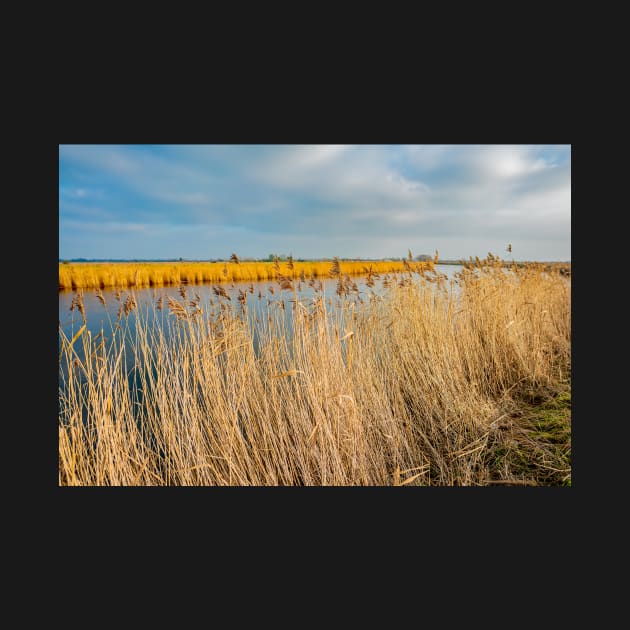 View over the River Yare in Acle on the Norfolk Broads by yackers1