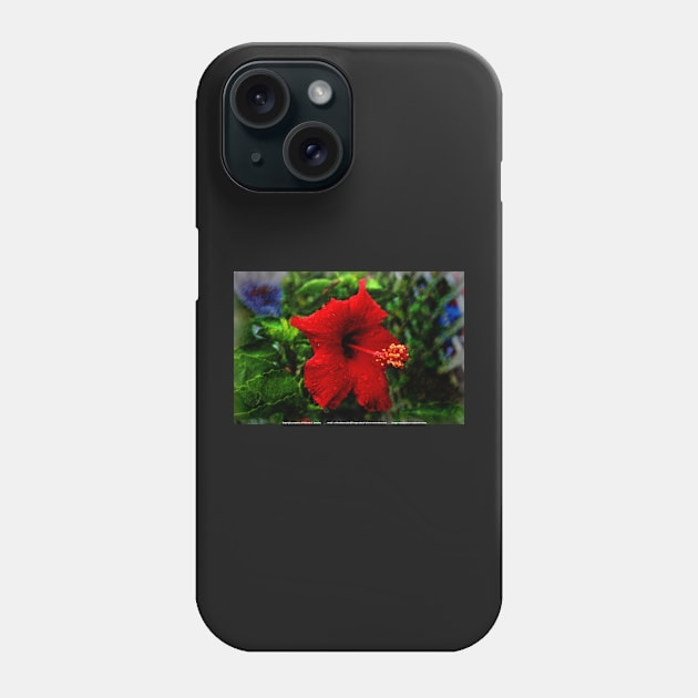 Red Hibiscus 1 Phone Case by michaelasamples