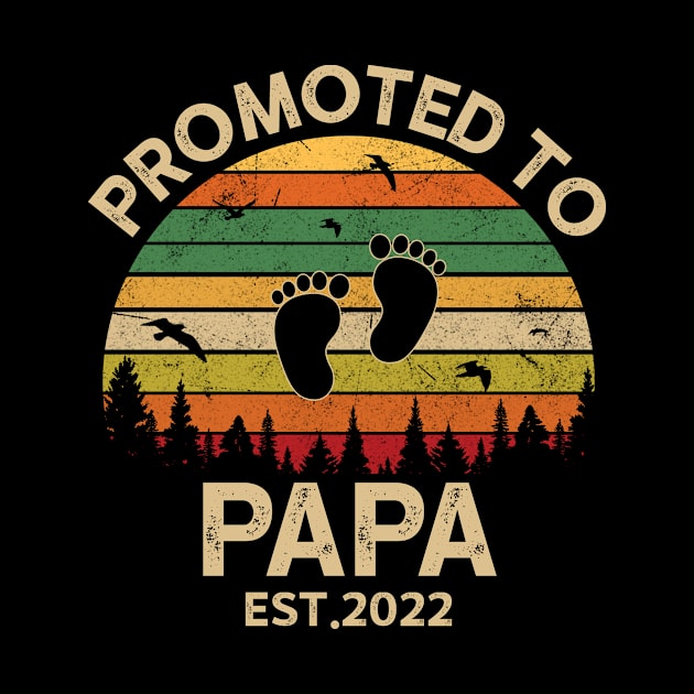 Promoted To Papa Est 2022 Pregnancy Announcement Vintage by Michelin