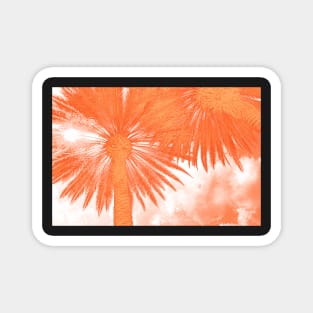 Palm Tree Abstract Magnet